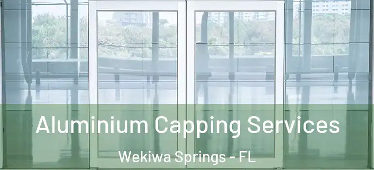 Aluminium Capping Services Wekiwa Springs - FL