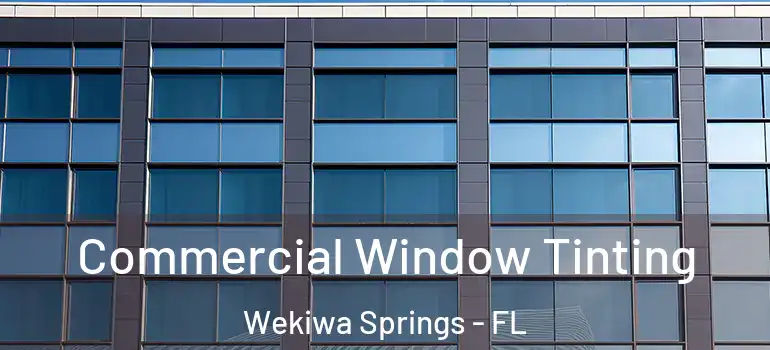  Commercial Window Tinting Wekiwa Springs - FL