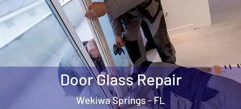 Door Glass Repair Wekiwa Springs - FL