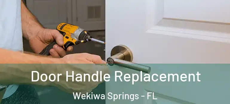 Door Handle Replacement Wekiwa Springs - FL
