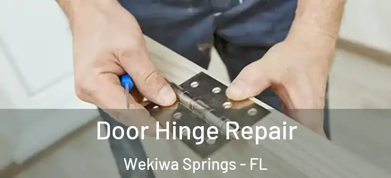 Door Hinge Repair Wekiwa Springs - FL