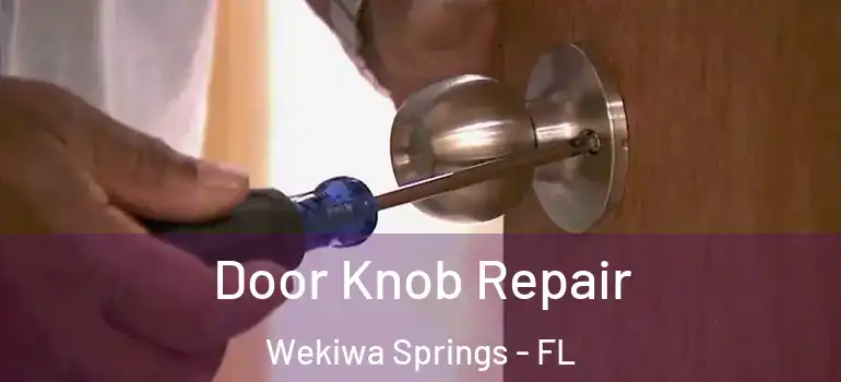 Door Knob Repair Wekiwa Springs - FL