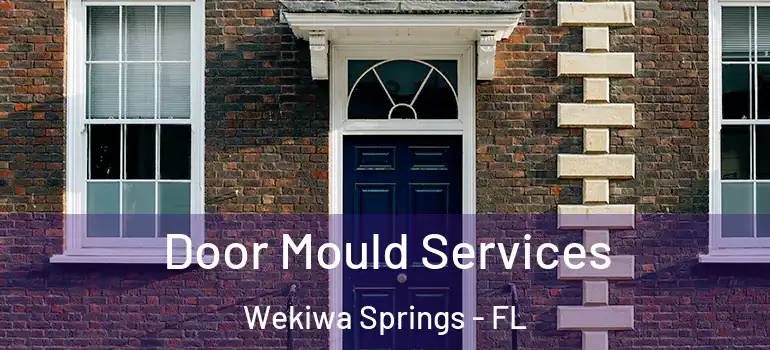 Door Mould Services Wekiwa Springs - FL