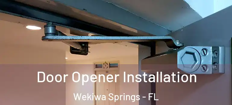  Door Opener Installation Wekiwa Springs - FL