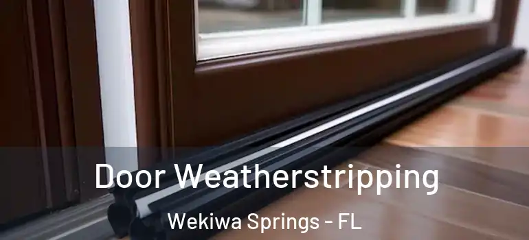  Door Weatherstripping Wekiwa Springs - FL