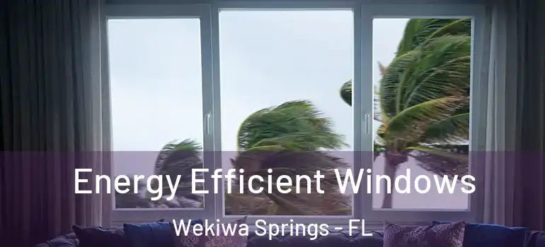  Energy Efficient Windows Wekiwa Springs - FL