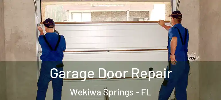 Garage Door Repair Wekiwa Springs - FL