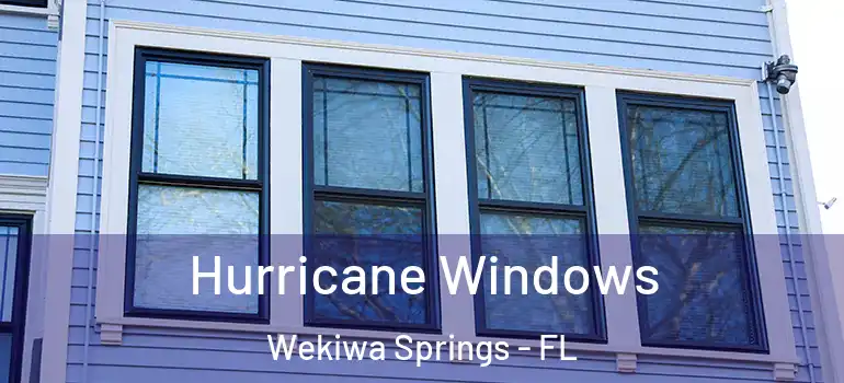  Hurricane Windows Wekiwa Springs - FL