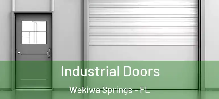 Industrial Doors Wekiwa Springs - FL