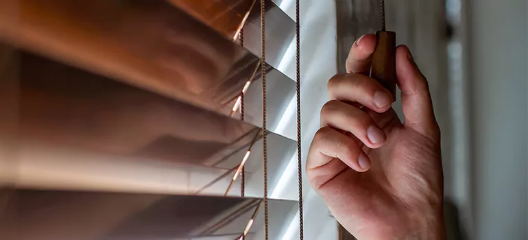 Double Roller Blinds in Wekiwa Springs, FL