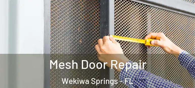 Mesh Door Repair Wekiwa Springs - FL