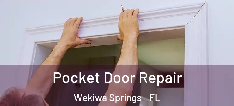 Pocket Door Repair Wekiwa Springs - FL