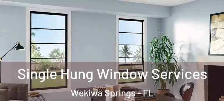  Single Hung Window Services Wekiwa Springs - FL