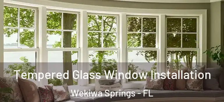 Tempered Glass Window Installation Wekiwa Springs - FL