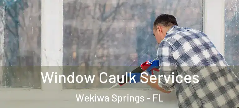  Window Caulk Services Wekiwa Springs - FL