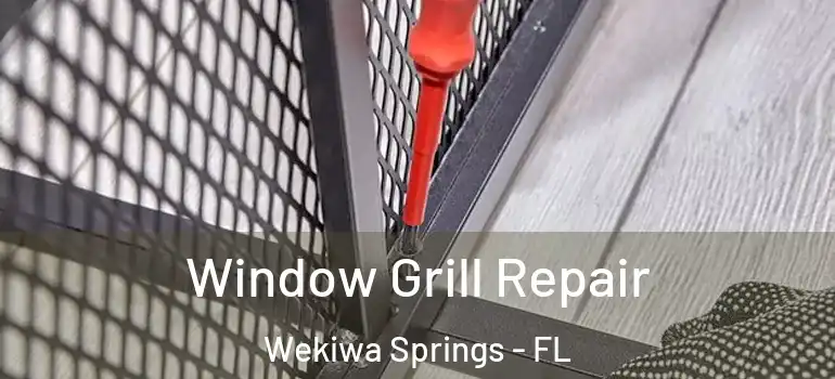 Window Grill Repair Wekiwa Springs - FL