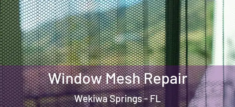  Window Mesh Repair Wekiwa Springs - FL
