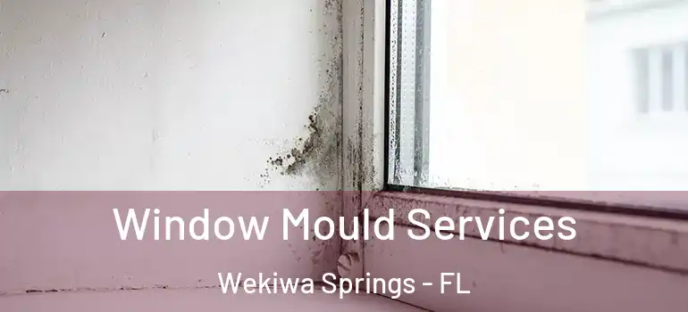  Window Mould Services Wekiwa Springs - FL