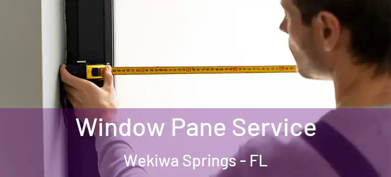  Window Pane Service Wekiwa Springs - FL