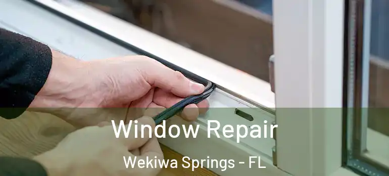 Window Repair Wekiwa Springs - FL