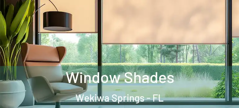  Window Shades Wekiwa Springs - FL