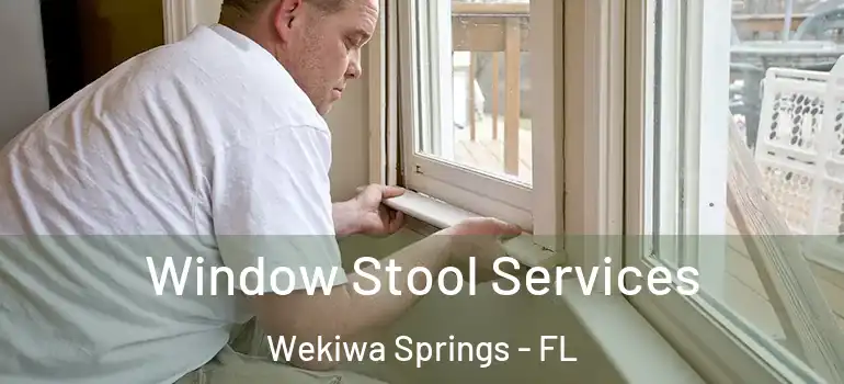  Window Stool Services Wekiwa Springs - FL