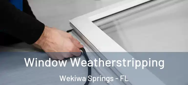 Window Weatherstripping Wekiwa Springs - FL